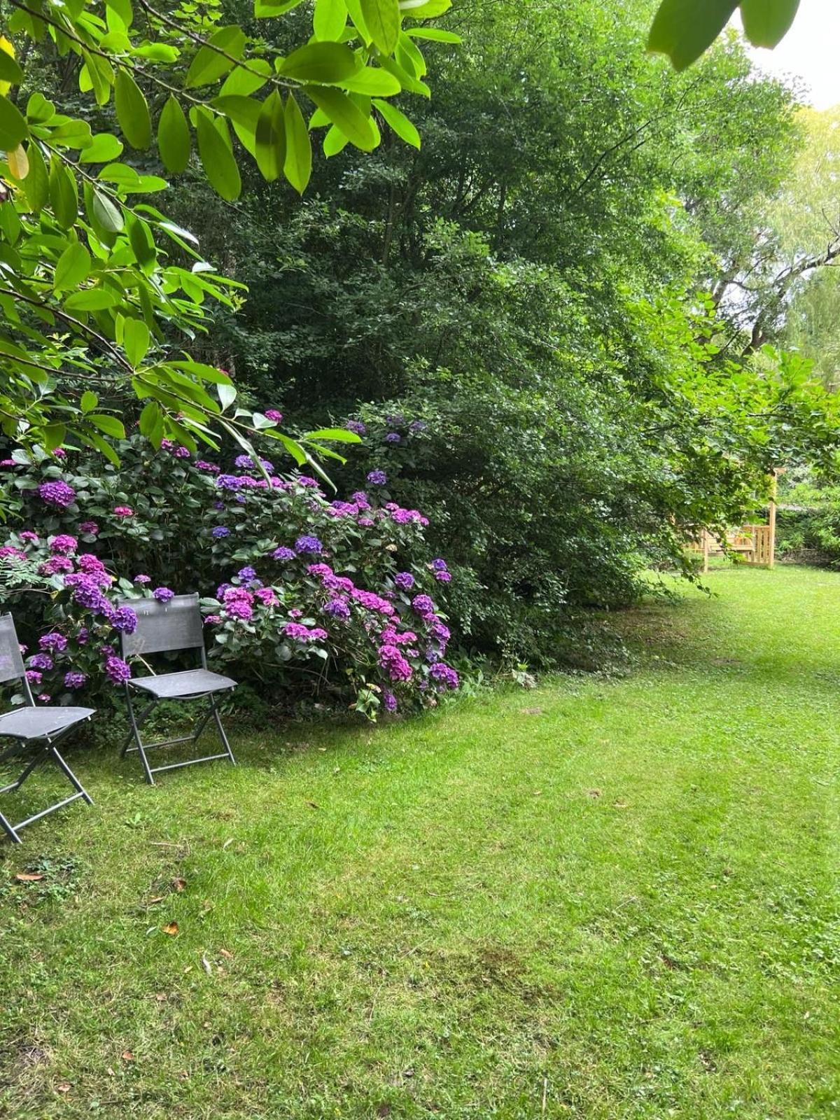 The Mill Lodge Helston Bagian luar foto